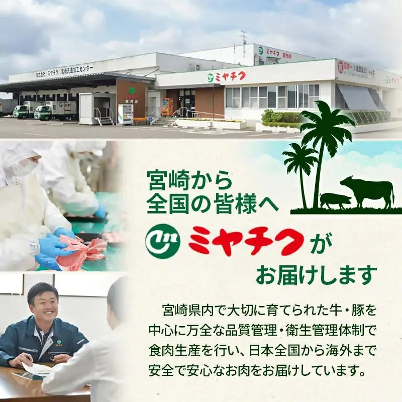 選べる枚数　宮崎牛ロースステーキ2～4枚 （1枚あたり250g） 内閣総理大臣賞4連覇 ブランド牛 ミヤチク 国産牛肉＜47-15b＞＜47-17b＞＜47-18a＞